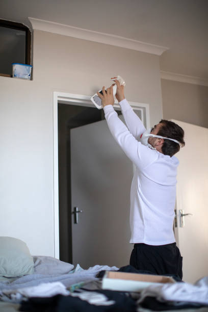 Best Water Damage & Mold Remediation  in Smackover, AR