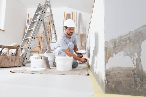 Best Basement Mold Removal  in Smackover, AR