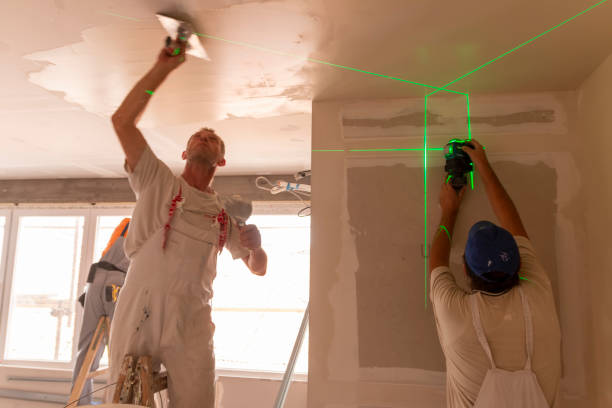 Best Mold Damage Restoration  in Smackover, AR
